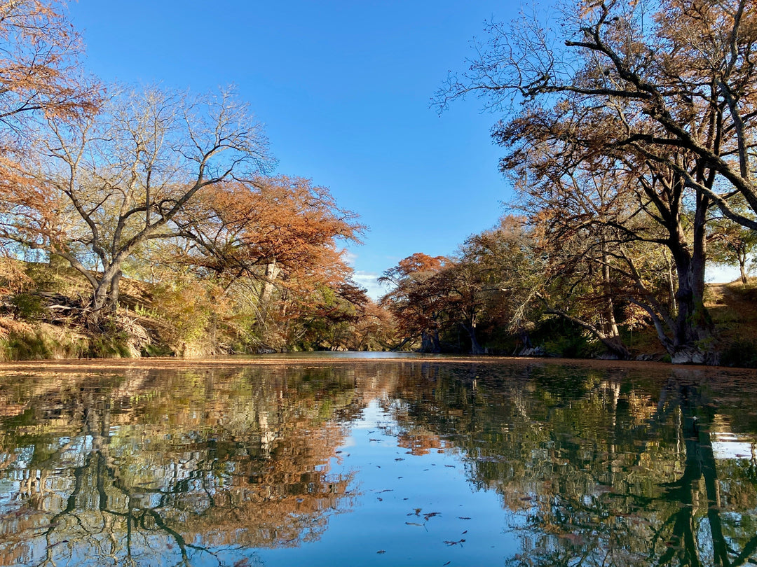 Top UTV Trails in Texas for Fall Colors