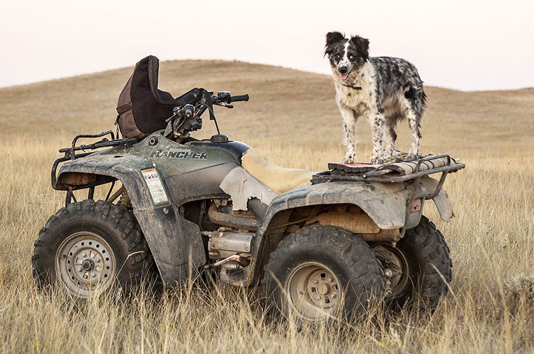 atv and utv trails of wisconsin