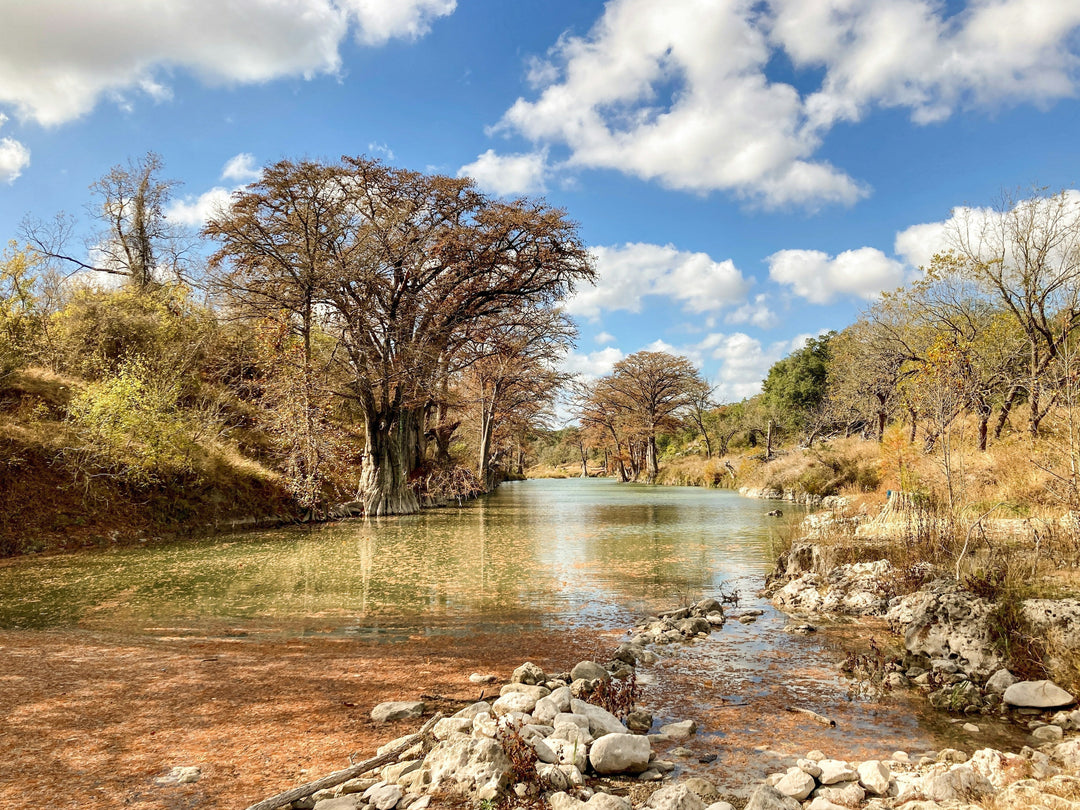 Scenic Texas riverbank with native cypress trees and rocky terrain under a blue sky.