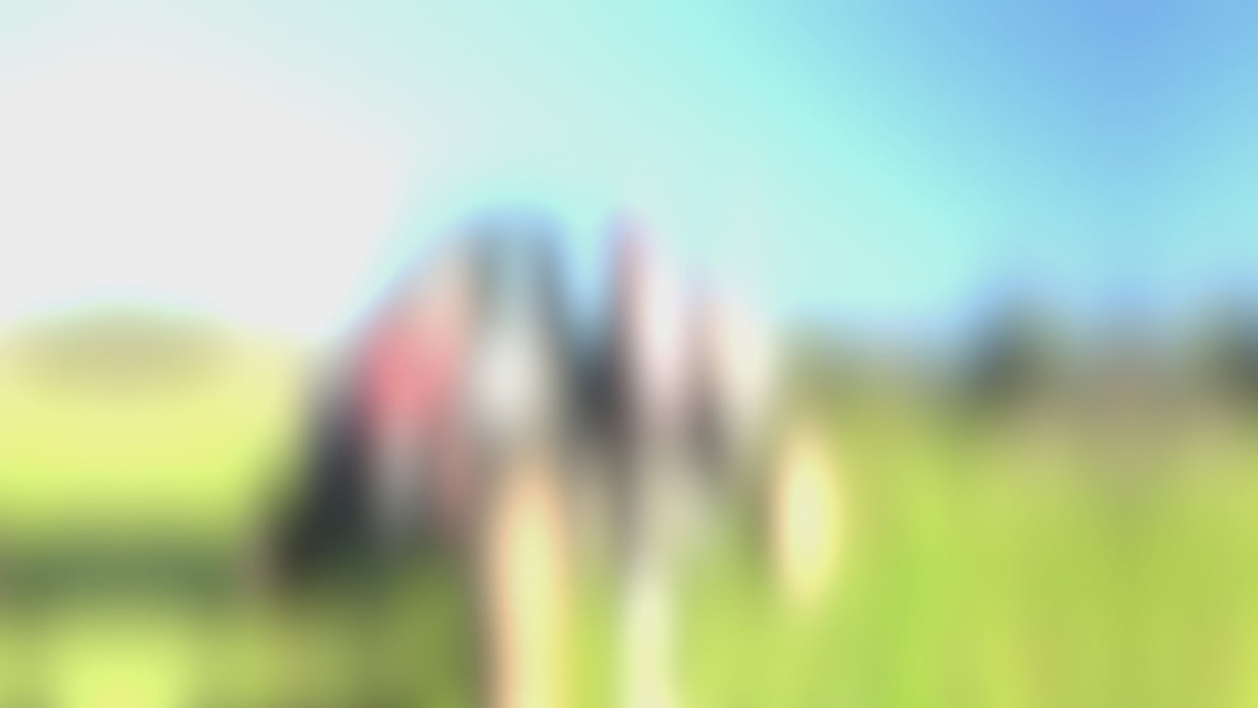 StarknightMT Brand Video
